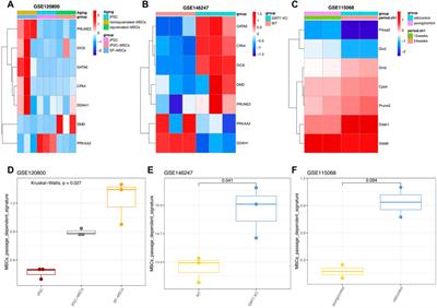 A passage-dependent network for estimating the in vitro senescence of mesenchymal stromal/stem cells using microarray, bulk and single cell RNA sequencing